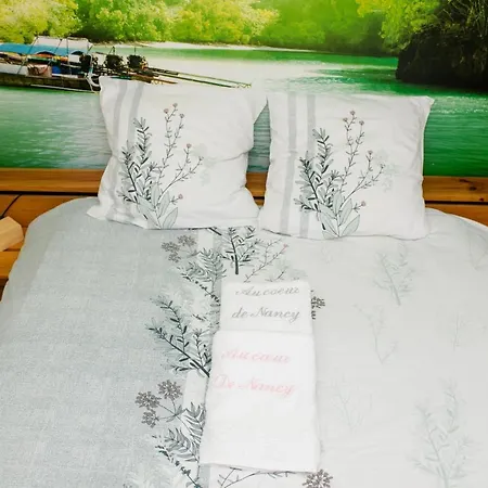 D'hotes Au Coeur De Nancyb&b Bed & Breakfast Nancy