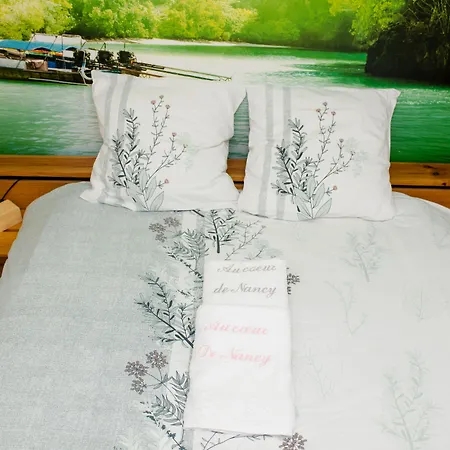 ベッド・アンド・ブレックファスト D'hotes Au Coeur De Nancyb&b Proche Gare De
