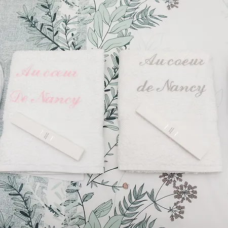 D'hôtes Au Coeur De Nancyb&b