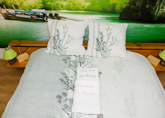 Bed & Breakfast D'hotes Au Coeur De Nancyb&b Proche Gare De